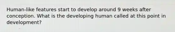 Human-like features start to develop around 9 weeks after conception. What is the developing human called at this point in development?