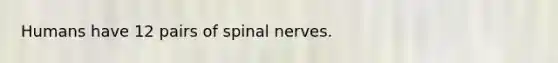 Humans have 12 pairs of spinal nerves.