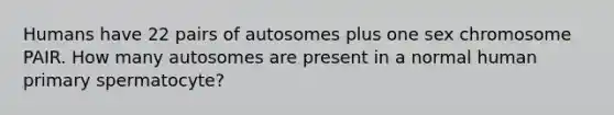 Humans have 22 pairs of autosomes plus one sex chromosome PAIR. How many autosomes are present in a normal human primary spermatocyte?