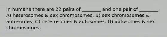 In humans there are 22 pairs of ________ and one pair of ________. A) heterosomes & sex chromosomes, B) sex chromosomes & autosomes, C) heterosomes & autosomes, D) autosomes & sex chromosomes.