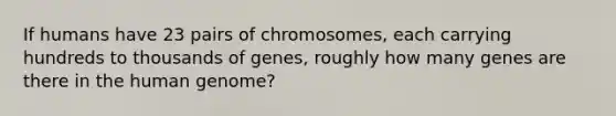 If humans have 23 pairs of chromosomes, each carrying hundreds to thousands of genes, roughly how many genes are there in the human genome?