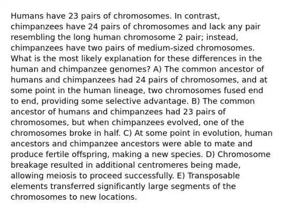 Humans have 23 pairs of chromosomes. In contrast, chimpanzees have 24 pairs of chromosomes and lack any pair resembling the long human chromosome 2 pair; instead, chimpanzees have two pairs of medium-sized chromosomes. What is the most likely explanation for these differences in the human and chimpanzee genomes? A) The common ancestor of humans and chimpanzees had 24 pairs of chromosomes, and at some point in the human lineage, two chromosomes fused end to end, providing some selective advantage. B) The common ancestor of humans and chimpanzees had 23 pairs of chromosomes, but when chimpanzees evolved, one of the chromosomes broke in half. C) At some point in evolution, human ancestors and chimpanzee ancestors were able to mate and produce fertile offspring, making a new species. D) Chromosome breakage resulted in additional centromeres being made, allowing meiosis to proceed successfully. E) Transposable elements transferred significantly large segments of the chromosomes to new locations.