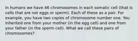 In humans we have 46 chromosomes in each somatic cell (that is cells that are not eggs or sperm). Each of these as a pair. For example, you have two copies of chromosome number one. You inherited one from your mother (in the egg cell) and one from your father (in the sperm cell). What we call these pairs of chromosomes?