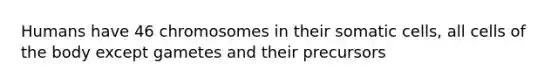 Humans have 46 chromosomes in their somatic cells, all cells of the body except gametes and their precursors