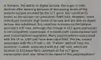 In humans, the ability to digest lactose, the sugar in milk, declines after weaning because of decreasing levels of the enzyme lactase encoded by the LCT gene; this condition is knows as the lactase non persistent (LNP) trait. However, some individuals maintain high levels of lactase and are able to digest lactase into adulthood; this condition is known as the lactase-persistent (LP) trait. Although the change in LCT gene expression is not completely understood, it involves both transcriptional and post transcriptional regulation. Many polymorphisms associated with the LP vs. LNP trait have been identified. The key variant associated with the LP trait is the 'T-allele" derived from the ancestral 'C-allele' associated with the LNP trait, which are located 13,910 base Paris upstream of the LCT gene transcription start site. What is the name of this polymorphism?