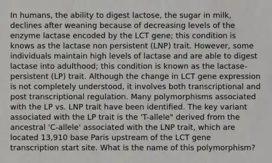 In humans, the ability to digest lactose, the sugar in milk, declines after weaning because of decreasing levels of the enzyme lactase encoded by the LCT gene; this condition is knows as the lactase non persistent (LNP) trait. However, some individuals maintain high levels of lactase and are able to digest lactase into adulthood; this condition is known as the lactase-persistent (LP) trait. Although the change in LCT <a href='https://www.questionai.com/knowledge/kFtiqWOIJT-gene-expression' class='anchor-knowledge'>gene expression</a> is not completely understood, it involves both transcriptional and post transcriptional regulation. Many polymorphisms associated with the LP vs. LNP trait have been identified. The key variant associated with the LP trait is the 'T-allele" derived from the ancestral 'C-allele' associated with the LNP trait, which are located 13,910 base Paris upstream of the LCT gene transcription start site. What is the name of this polymorphism?