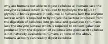 why are humans not able to digest cellulose a) humans lack the enzyme cellulase which is required to hydrolyze the b(1->4) glycosidic bonds present in cellulose b) humans lack the enzyme lactase which is required to hydrolyze the lactose produced from the digestion of cellulose into glucose and galactose c) humans lack the enzyme lactase which is required to convert galactose produced from the digestion of cellulose into glucose d) cellulose is not naturally available to humans e) none of the above; humans actually can readily digest cellulose