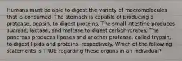 Humans must be able to digest the variety of macromolecules that is consumed. The stomach is capable of producing a protease, pepsin, to digest proteins. The small intestine produces sucrase, lactase, and maltase to digest carbohydrates. The pancreas produces lipases and another protease, called trypsin, to digest lipids and proteins, respectively. Which of the following statements is TRUE regarding these organs in an individual?