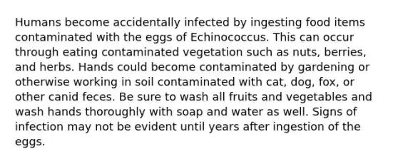 Humans become accidentally infected by ingesting food items contaminated with the eggs of Echinococcus. This can occur through eating contaminated vegetation such as nuts, berries, and herbs. Hands could become contaminated by gardening or otherwise working in soil contaminated with cat, dog, fox, or other canid feces. Be sure to wash all fruits and vegetables and wash hands thoroughly with soap and water as well. Signs of infection may not be evident until years after ingestion of the eggs.