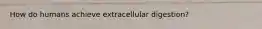 How do humans achieve extracellular digestion?