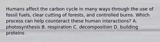 Humans affect the carbon cycle in many ways through the use of fossil fuels, clear cutting of forests, and controlled burns. Which process can help counteract these human interactions? A. photosynthesis B. respiration C. decomposition D. building proteins