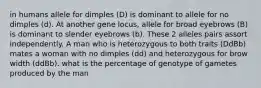 in humans allele for dimples (D) is dominant to allele for no dimples (d). At another gene locus, allele for broad eyebrows (B) is dominant to slender eyebrows (b). These 2 alleles pairs assort independently. A man who is heterozygous to both traits (DdBb) mates a woman with no dimples (dd) and heterozygous for brow width (ddBb). what is the percentage of genotype of gametes produced by the man