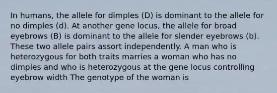 In humans, the allele for dimples (D) is dominant to the allele for no dimples (d). At another gene locus, the allele for broad eyebrows (B) is dominant to the allele for slender eyebrows (b). These two allele pairs assort independently. A man who is heterozygous for both traits marries a woman who has no dimples and who is heterozygous at the gene locus controlling eyebrow width The genotype of the woman is