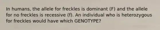 In humans, the allele for freckles is dominant (F) and the allele for no freckles is recessive (f). An individual who is heterozygous for freckles would have which GENOTYPE?