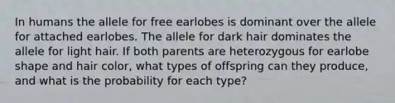 In humans the allele for free earlobes is dominant over the allele for attached earlobes. The allele for dark hair dominates the allele for light hair. If both parents are heterozygous for earlobe shape and hair color, what types of offspring can they produce, and what is the probability for each type?