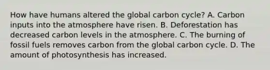 How have humans altered the global carbon cycle? A. Carbon inputs into the atmosphere have risen. B. Deforestation has decreased carbon levels in the atmosphere. C. The burning of fossil fuels removes carbon from the global carbon cycle. D. The amount of photosynthesis has increased.