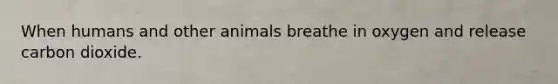 When humans and other animals breathe in oxygen and release carbon dioxide.