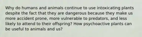 Why do humans and animals continue to use intoxicating plants despite the fact that they are dangerous because they make us more accident prone, more vulnerable to predators, and less likely to attend to their offspring? How psychoactive plants can be useful to animals and us?