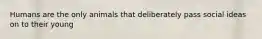 Humans are the only animals that deliberately pass social ideas on to their young
