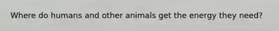 Where do humans and other animals get the energy they need?