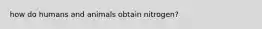 how do humans and animals obtain nitrogen?