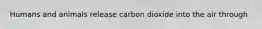 Humans and animals release carbon dioxide into the air through