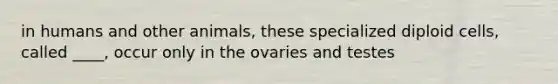 in humans and other animals, these specialized diploid cells, called ____, occur only in the ovaries and testes