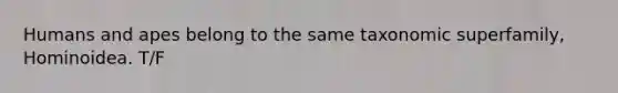 Humans and apes belong to the same taxonomic superfamily, Hominoidea. T/F