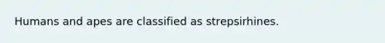 Humans and apes are classified as strepsirhines.​
