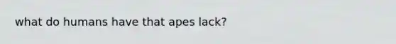 what do humans have that apes lack?