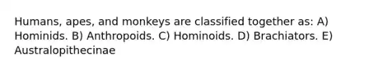 Humans, apes, and monkeys are classified together as: A) Hominids. B) Anthropoids. C) Hominoids. D) Brachiators. E) Australopithecinae