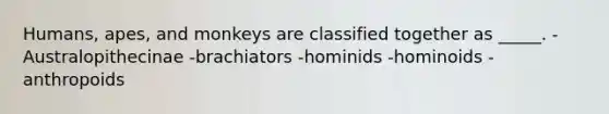 Humans, apes, and monkeys are classified together as _____. -Australopithecinae -brachiators -hominids -hominoids -anthropoids