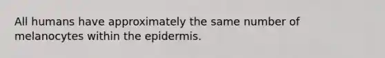 All humans have approximately the same number of melanocytes within the epidermis.