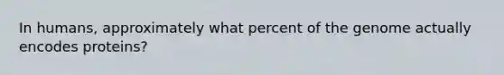 In humans, approximately what percent of the genome actually encodes proteins?