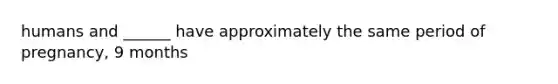 humans and ______ have approximately the same period of pregnancy, 9 months