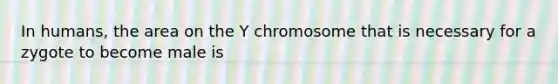 In humans, the area on the Y chromosome that is necessary for a zygote to become male is