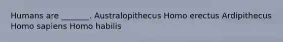 Humans are _______. Australopithecus Homo erectus Ardipithecus Homo sapiens Homo habilis