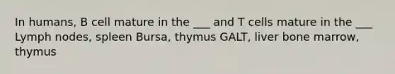 In humans, B cell mature in the ___ and T cells mature in the ___ Lymph nodes, spleen Bursa, thymus GALT, liver bone marrow, thymus