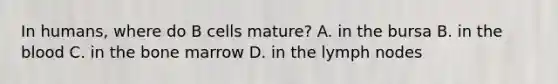 In humans, where do B cells mature? A. in the bursa B. in <a href='https://www.questionai.com/knowledge/k7oXMfj7lk-the-blood' class='anchor-knowledge'>the blood</a> C. in the bone marrow D. in the lymph nodes