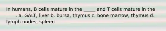 In humans, B cells mature in the _____ and T cells mature in the ____. a. GALT, liver b. bursa, thymus c. bone marrow, thymus d. lymph nodes, spleen