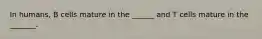 In humans, B cells mature in the ______ and T cells mature in the _______.