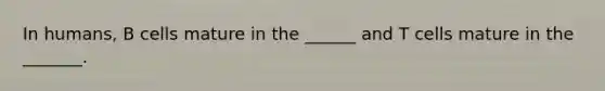 In humans, B cells mature in the ______ and T cells mature in the _______.