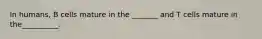 In humans, B cells mature in the _______ and T cells mature in the__________.