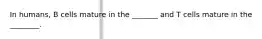 In humans, B cells mature in the _______ and T cells mature in the ________.