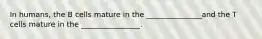 In humans, the B cells mature in the _______________and the T cells mature in the ________________.