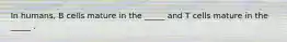 In humans, B cells mature in the _____ and T cells mature in the _____ .