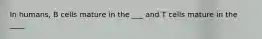 In humans, B cells mature in the ___ and T cells mature in the ____