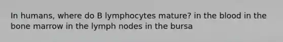 In humans, where do B lymphocytes mature? in the blood in the bone marrow in the lymph nodes in the bursa