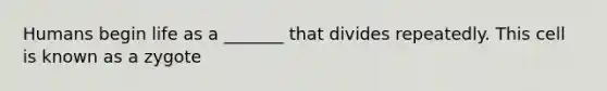 Humans begin life as a _______ that divides repeatedly. This cell is known as a zygote