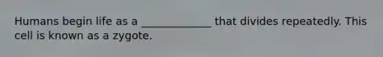 Humans begin life as a _____________ that divides repeatedly. This cell is known as a zygote.